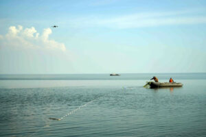 Таймырская экспедиция ВНИРО: ценные виды рыб наращивают популяцию