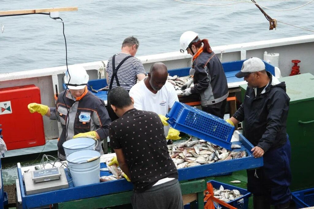 Завершена Большая африканская экспедиция: Россия расширяет рыболовный промысел в Африке