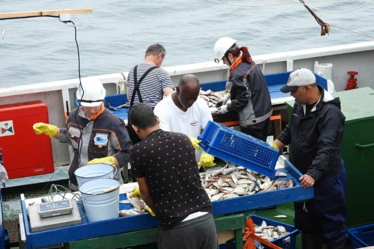 Завершена Большая африканская экспедиция: Россия расширяет рыболовный промысел в Африке