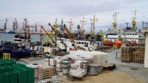 Илья Шестаков: модернизация портовых мощностей будет способствовать развитию рыболовства на Каспии