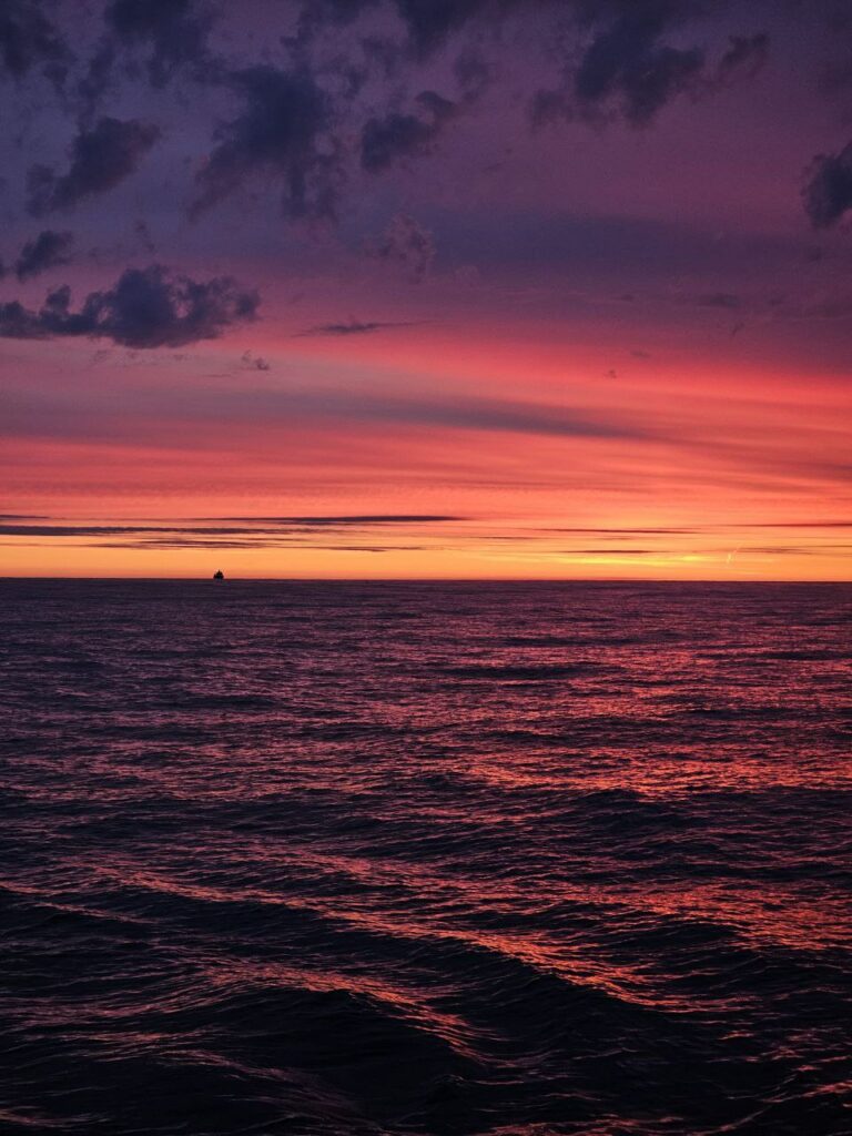 Оперативные данные: общероссийский вылов превысил 644 тыс. тонн