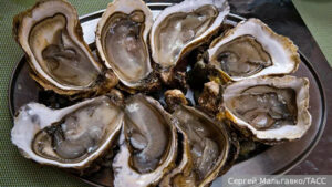 Стартовала “заявочная кампания” в отношении устриц в подзоне Приморья