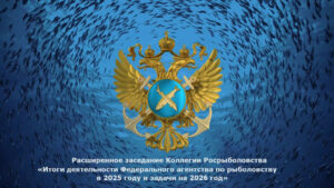 Коллегия Росрыболовства подведет итоги 2025 года и обсудит задачи на 2026 год