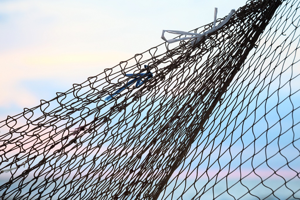 Учёт сетных орудий лова теперь в режиме реального времени