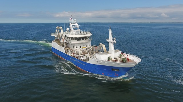 Охотоморская путина-2026: почти миллион тонн минтая, рост по треске и сельди