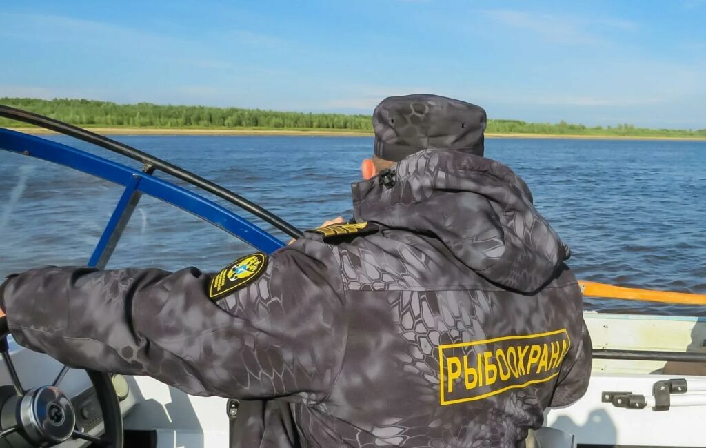 Внимание – нерест: усиленный режим рыбоохраны