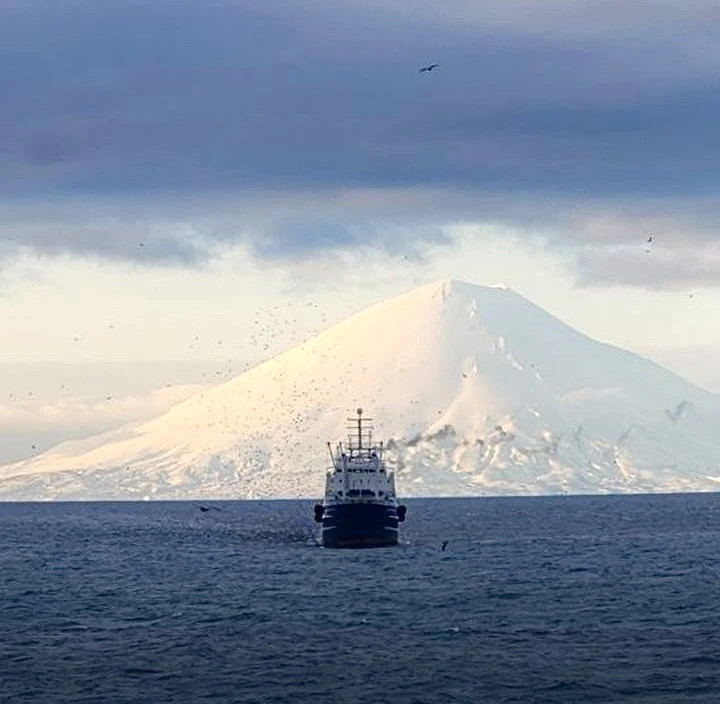 Оперативные данные: общероссийский вылов превысил 1,6 млн тонн