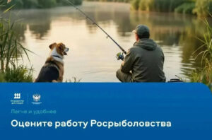 Легче и быстрее: оцените работу Росрыболовства