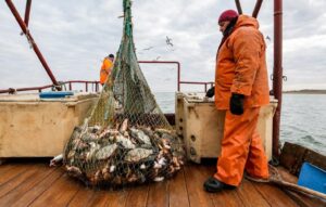 Оперативные данные: с начала года общероссийский вылов превысил 2,3 млн тонн