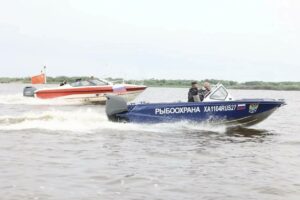 Россия и Китай вместе борются с браконьерством и охраняют рыбу Амура