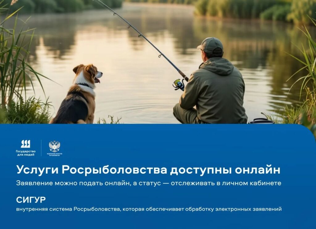 Цифровые технологии Росрыболовства: удобно рыбакам-любителям и бизнесу