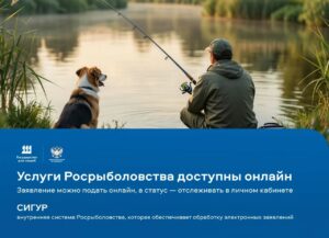 Цифровые технологии Росрыболовства: удобно рыбакам-любителям и бизнесу