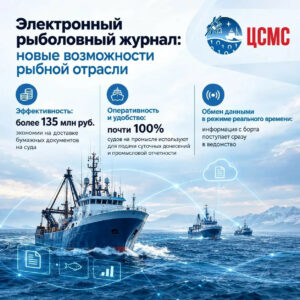 Внедрение электронных разрешений на вылов сэкономило рыбакам более 135 млн рублей