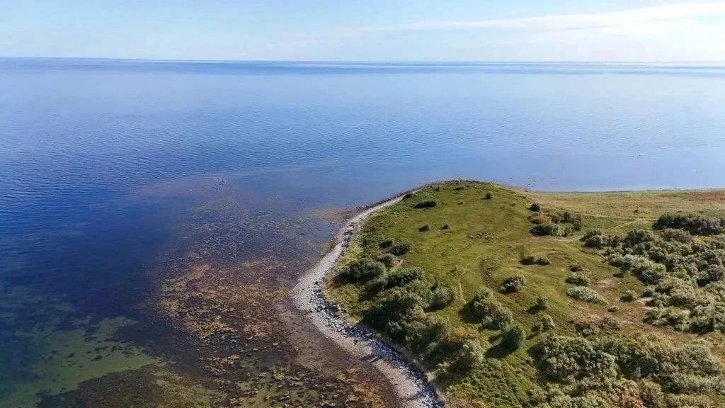 Новые технологии — в методах контроля водорослей и рыбных запасов