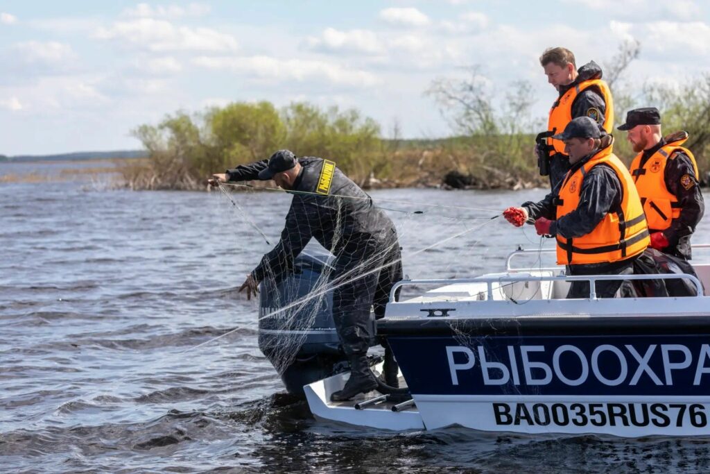 Росрыболовство усиливает охрану ценных сиговых в период нереста