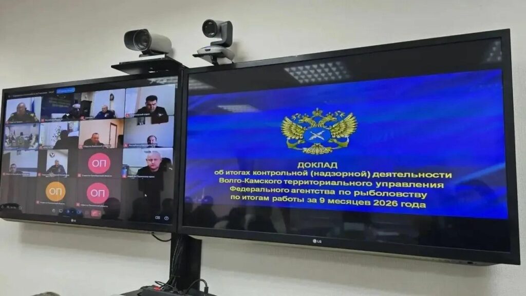 За 9 месяцев Волго-Камское территориальное управление Росрыболовства выявило 9364 правонарушения