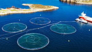 Развитие аквакультуры и охрана водных биоресурсов отражены в новой Стратегии нацбезопасности