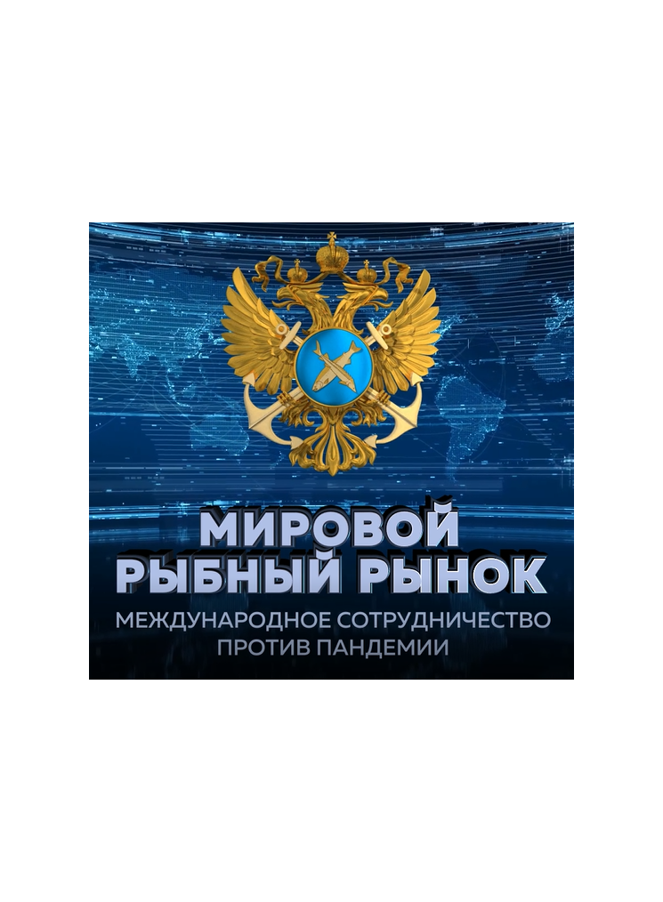 Илья Шестаков принял участие в международной онлайн-конференции «Мировой рыбный рынок: международное сотрудничество против пандемии»