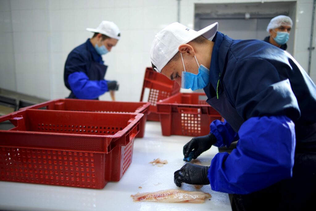 Прокачай рыбный skill: перечень компетенций WorldSkills Russia пополнился рыбохозяйственными специальностями (2)