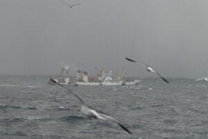 Росрыболовство будет отвечать за участие России в Комиссии по рыболовству в северной части Тихого океана