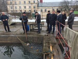 Илья Шестаков посетил селекционный центр рыбоводства «Ропша» (Ленинградская область, 19 ноября 2016 г.)