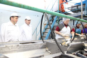 Илья Шестаков посетил рыбокомбинат «Островной» (о. Шикотан, Южно-Курильск, 6 июля 2017 г.)