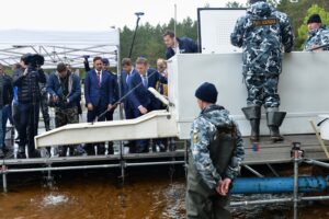 Илья Шестаков и Александр Кержаков выпустили молодь ценного вида лососевых в Ладогу (Снетково, Ленинградская область, 15 сентября 2017 г.)