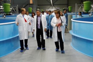 В Кемеровской области открылся завод по выращиванию радужной форели