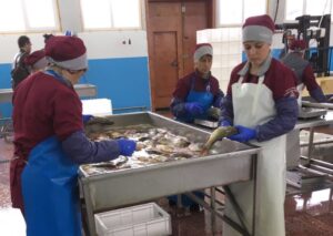 В Новосибирской области начал работу новый рыбоперерабатывающий завод