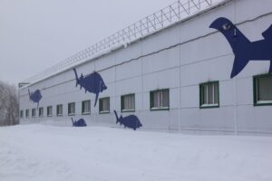 Росрыболовство запустило в эксплуатацию завод по воспроизводству стерляди и щуки в Самарской области