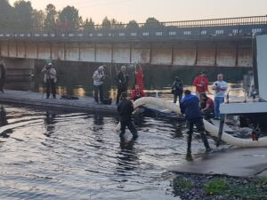 Главрыбвод выпустил в Неву 90 тыс. молоди атлантического лосося в рамках проекта «Северный поток-2»