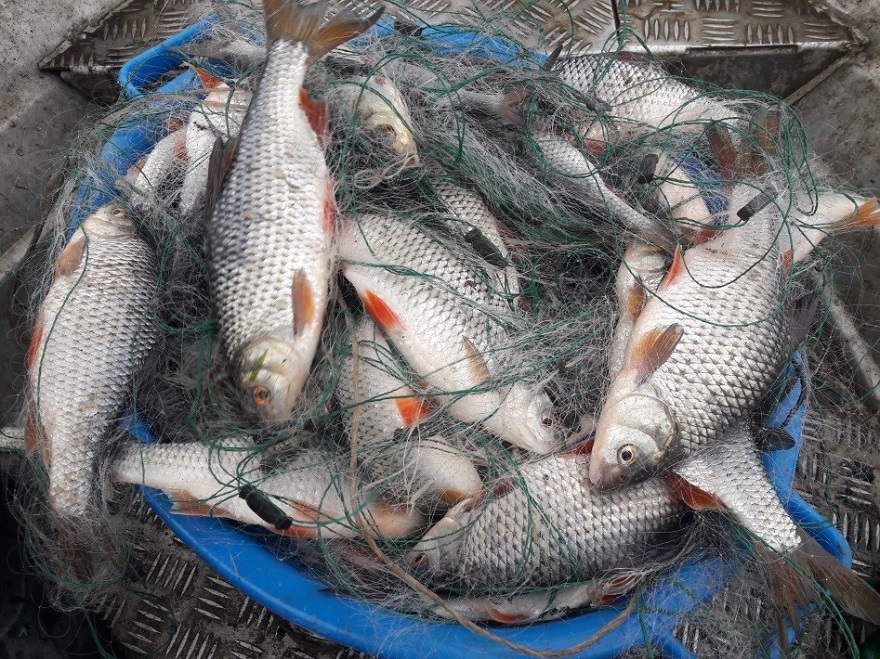 Рыбоохрана Московско-Окского теруправления выявила 65 нарушений в Калужской области