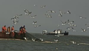 О внесении изменений в федеральный закон о рыболовстве