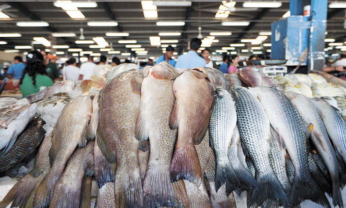 Росрыболовство обсуждает вопросы развития рыбной отрасли в регионах