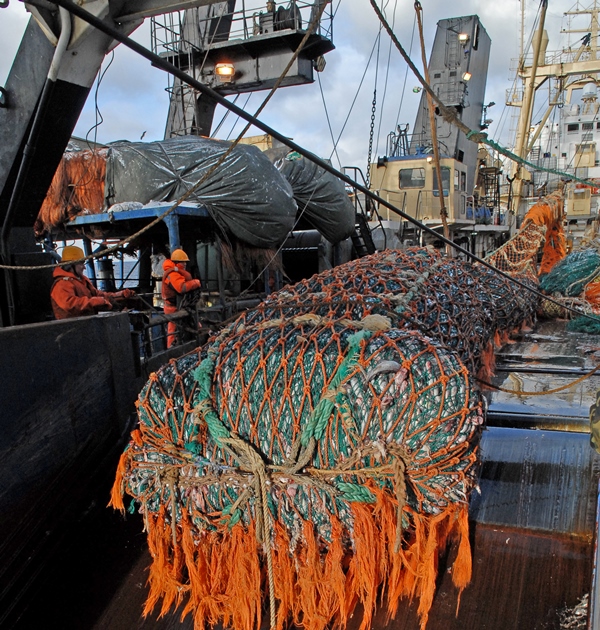 Российскими рыбаками с начала года выловлено 1,57 млн тонн