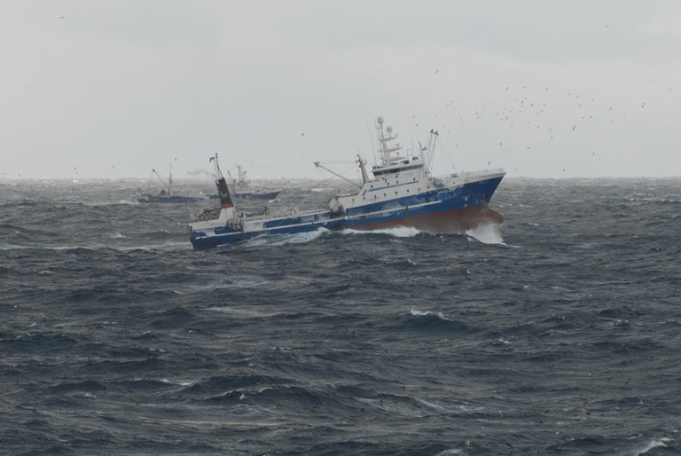 В Госдуме принят законопроект, регламентирующий рыболовство в открытом море