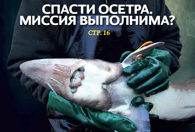 Вышел в свет первый номер обновленного журнала «Рыбоохрана России»