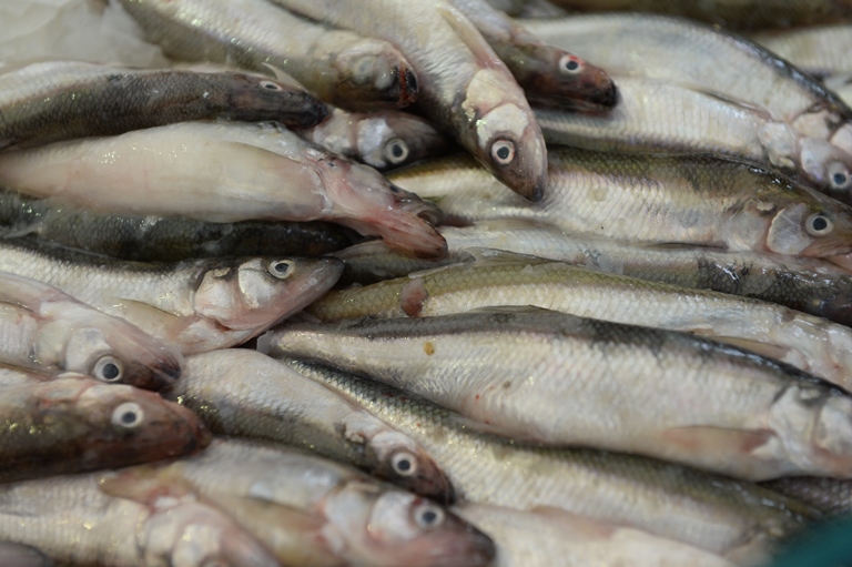 Поставки рыбы за границу за три месяца сократились на 10,7%