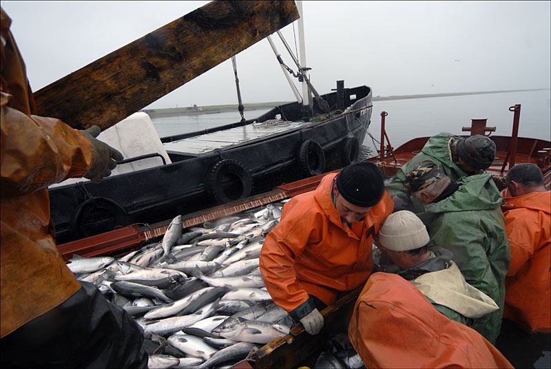 Промысел в охотском море