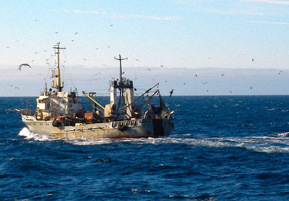 О возможности осуществления промысла в атлантической рыболовной зоне Марокко