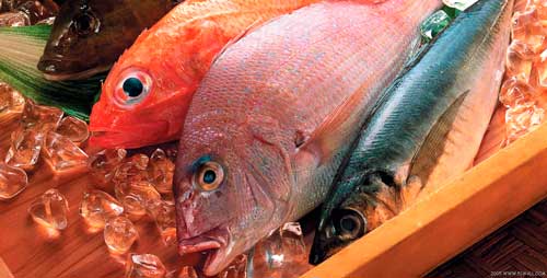 Производство рыбы и рыбной продукции за январь-апрель 2015 года увеличилось на 6%