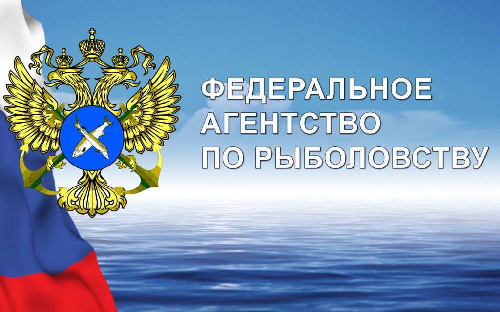 Стимулы развития производства рыбной продукции в России обсудят на Восточном экономическом форуме