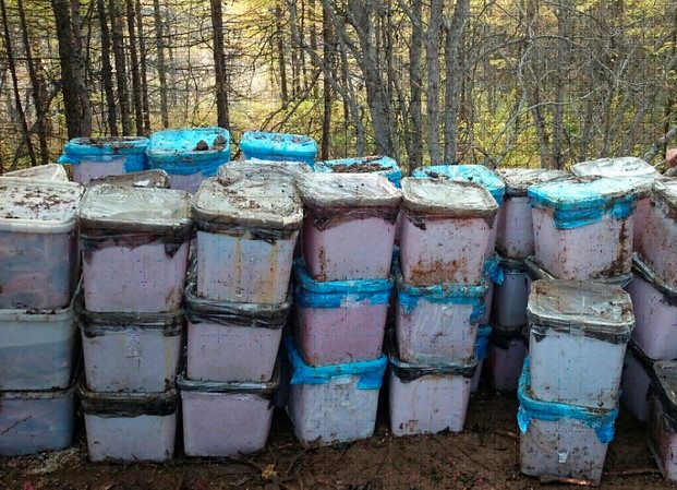 В Магаданской области у браконьеров изъято свыше 1 тонны красной икры