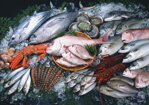 Объем производства рыбной продукции вырос на 5,6%