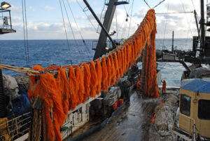 Рыбакам Дальнего Востока представили прогноз промысла в третьем квартале