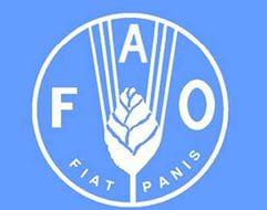 На площадке ФАО объявят о Международном дне борьбы с ННН-промыслом