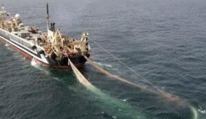 Утверждена Инициатива прозрачности рыболовства для борьбы с ННН-промыслом на международном уровне