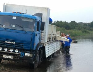 167 тысяч сеголеток стерляди выпустили в реку Юг Вологодской области