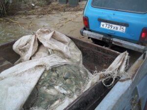 Браконьерство на Цимлянском водохранилище