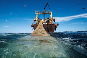 Российские рыбаки увеличили объем вылова водных биоресурсов за 9 месяцев на 5,6% – до 4 млн тонн